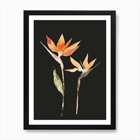 Bird Of Paradise 80 Art Print