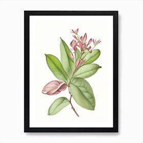 Rhododendron Leaf Art Print