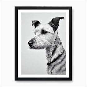 Glen Of Imaal Terrier B&W Pencil Dog Art Print