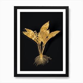 Vintage Lily of the Valley Botanical in Gold on Black n.0071 Art Print