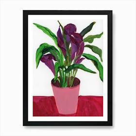 Purple Calla Lilies Art Print