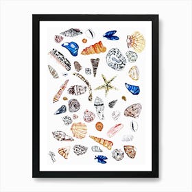 Cornish Seashells Art Print