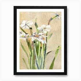 White Narcissus With Gray Accents (1915), Hannah Borger Overbeck Art Print