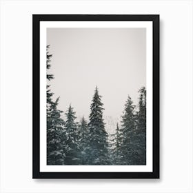 Snow Storm In Forest Art Print