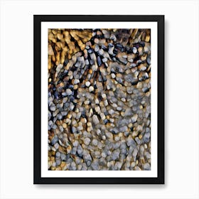 Abstract Pebbles Art Print