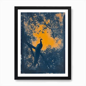 Orange & Blue Peacock In The Trees 3 Art Print