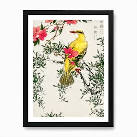 Chinese Bush-warbler Art Print