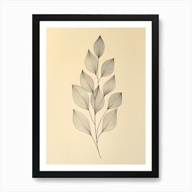 Leaf Drawing 1 Art Print