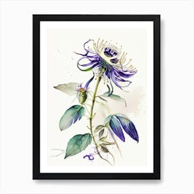 Passion Flower Herb Minimalist Watercolour 1 Poster