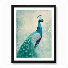 Peacock Vintage Cyanotype Portrait Inspired Turquoise 2 Art Print