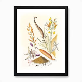 Cat S Claw Spices And Herbs Pencil Illustration 1 Art Print