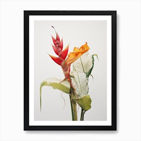 Pressed Flower Botanical Art Heliconia 2 Art Print