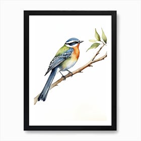 Beautiful Bird On Branch Watercolor Painting (20) Art Print