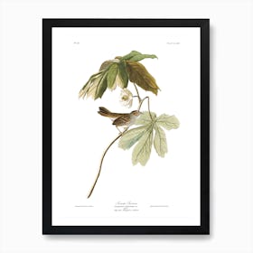 Swamp Sparrow Art Print