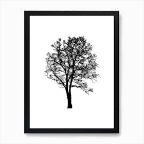 Silhouette Of A Tree Art Print