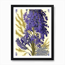 Jacaranda 1 Floral Botanical Vintage Poster Flower Art Print