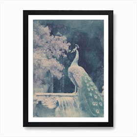 Vintage Turquoise Cyanotype Of A Peacock In A Fountain  2 Art Print