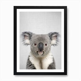 Koala Art Print