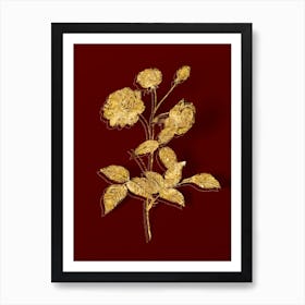 Vintage China Rose Botanical in Gold on Red n.0347 Art Print