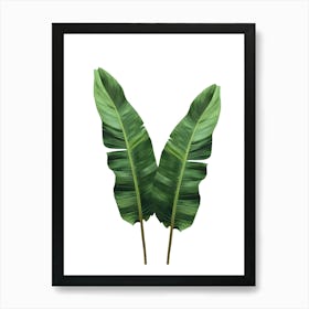 Banana Leaf Art Print