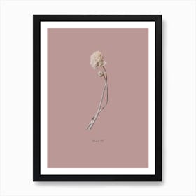 Botanico IV Art Print