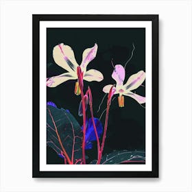 Neon Flowers On Black Cyclamen 3 Poster