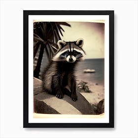 Cozumel Raccoon Vintage Photography 2 Art Print