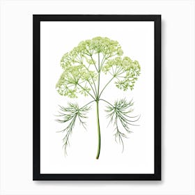 Dill Vintage Botanical Herbs 1 Art Print