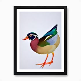 Wood Duck Watercolour Bird Art Print