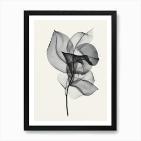 Black And White Leaf Art Print