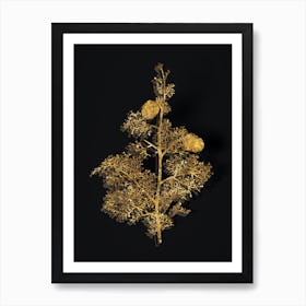 Vintage Mediterranean Cypress Botanical in Gold on Black n.0046 Art Print