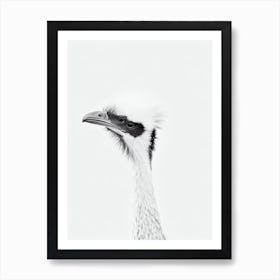 Emu B&W Pencil Drawing 1 Bird Art Print