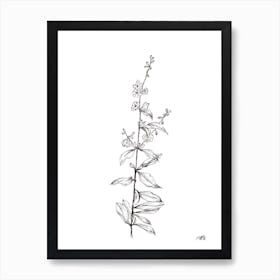 Black and White Delicate Flower Stem Art Print