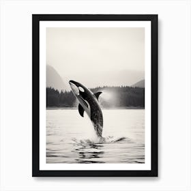 Realistic Black & White Photography Of Orca Whale Diving Out Of Ocean 2 Art Print