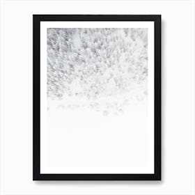 Aerial Winter Forest Art Print