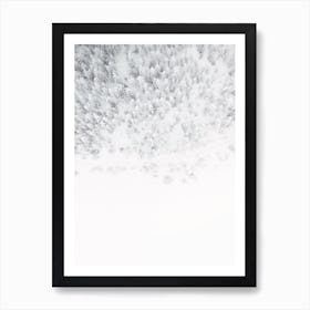 Aerial Winter Forest Poster