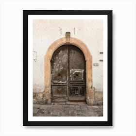 Old Door In Italy Art Print