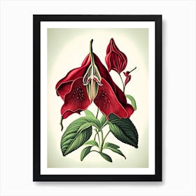 Red Trillium Wildflower Vintage Botanical Art Print