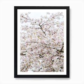 Blossom Tree 02 Art Print