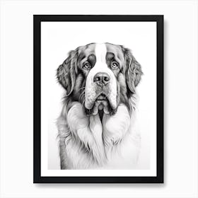 Saint Bernard Dog, Line Drawing 4 Art Print