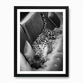 Panther On The Sofa Black And White Art Print