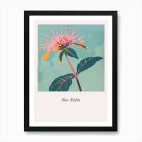 Bee Balm 1 Square Flower Illustration Poster Art Print