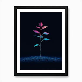 Plant In The Dark 21 Art Print