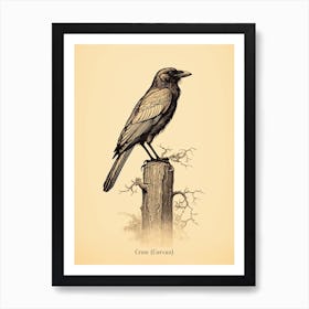 Vintage Crow Poster Art Print