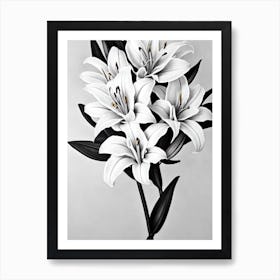 Lilies B&W Pencil 2 Flower Art Print