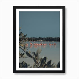 Mexican Flamingos Art Print