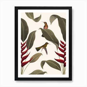 Heliconia Old White   Art Print