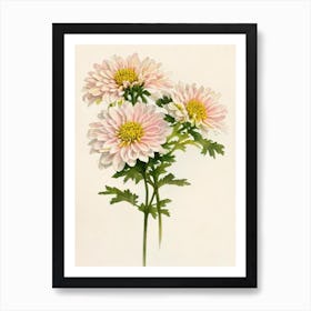 Chrysanthemums Vintage Flowers Flower Art Print