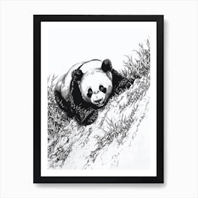 Giant Panda Cub Sliding Down A Hill Ink Illustration 4 Art Print