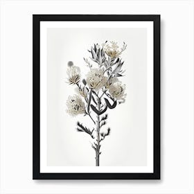 Silver Torch Joshua Tree Gold And Black (1) Art Print